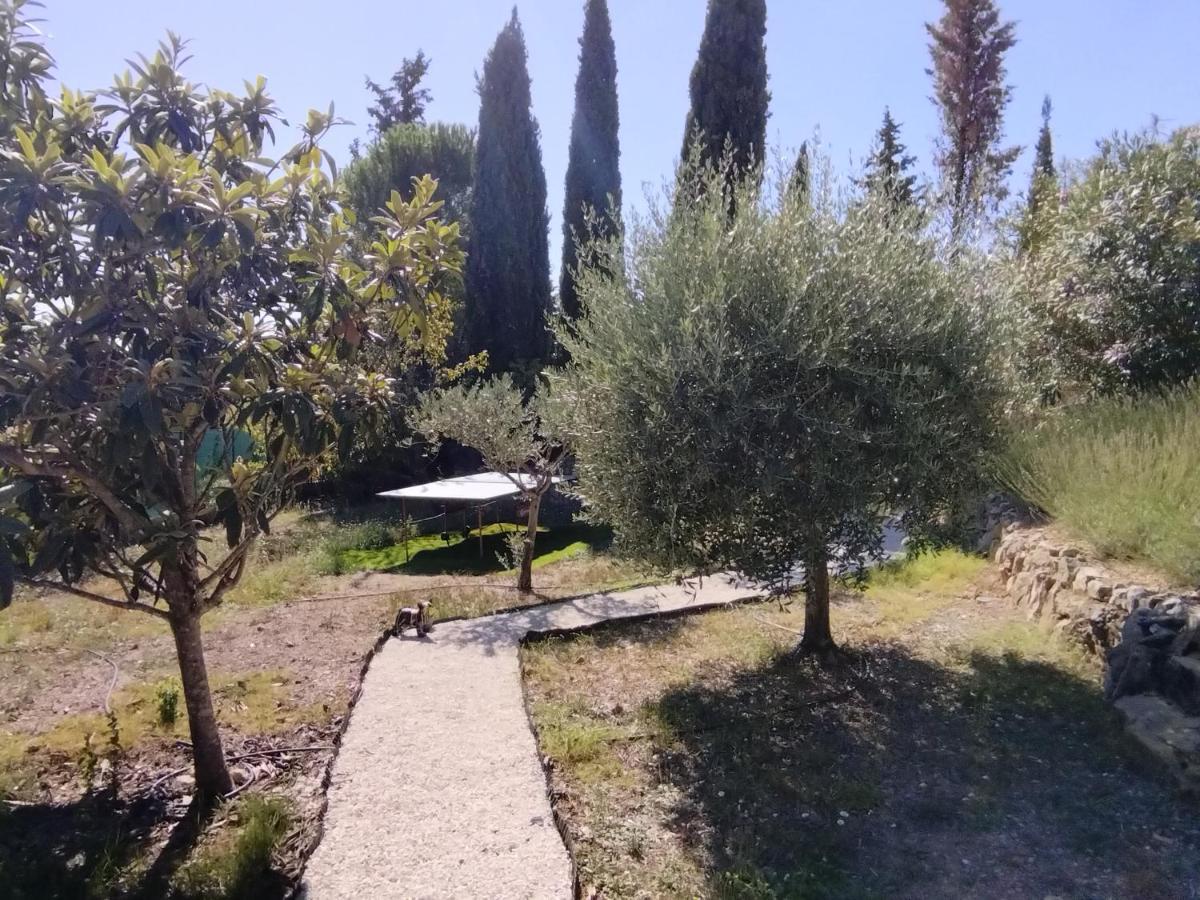 La Villa Des Six Ifs - Le Murier Flayosc Exterior foto